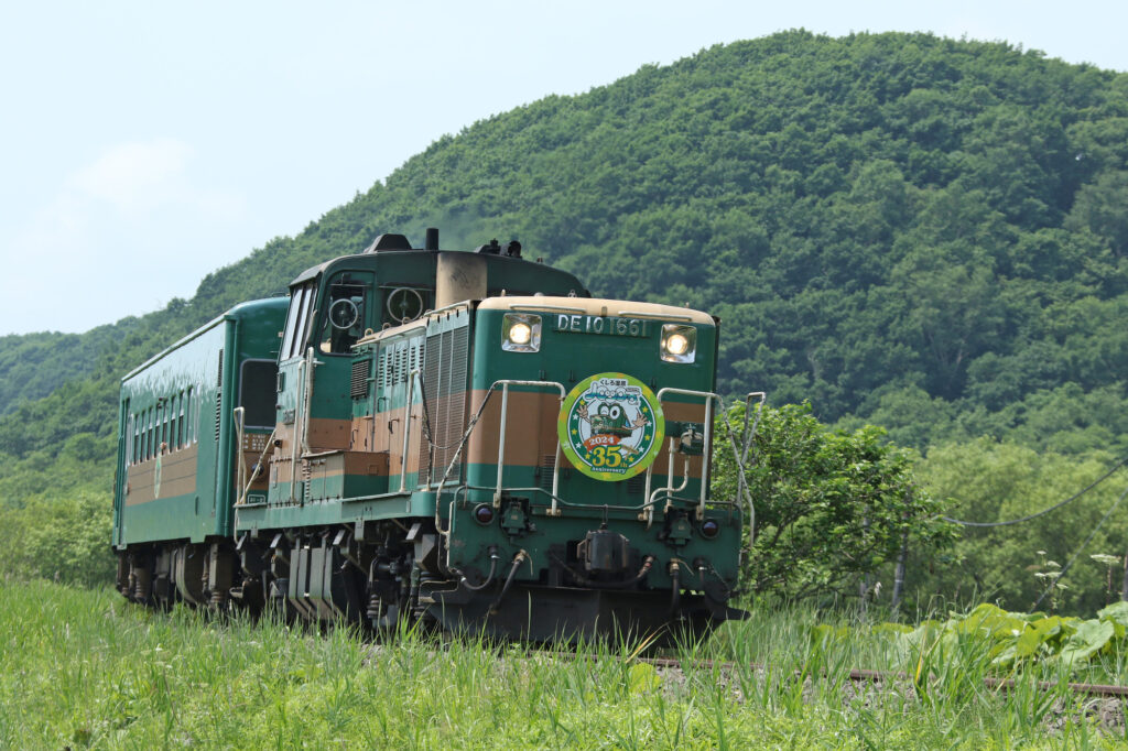 くしろ湿原ノロッコ号