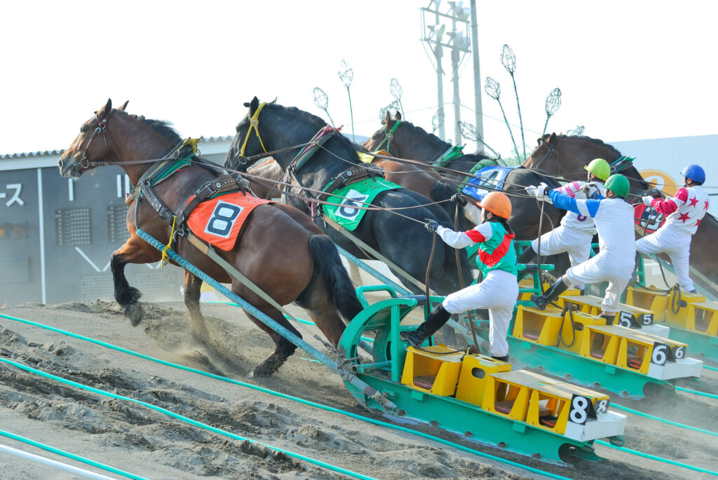 ばんえい競馬