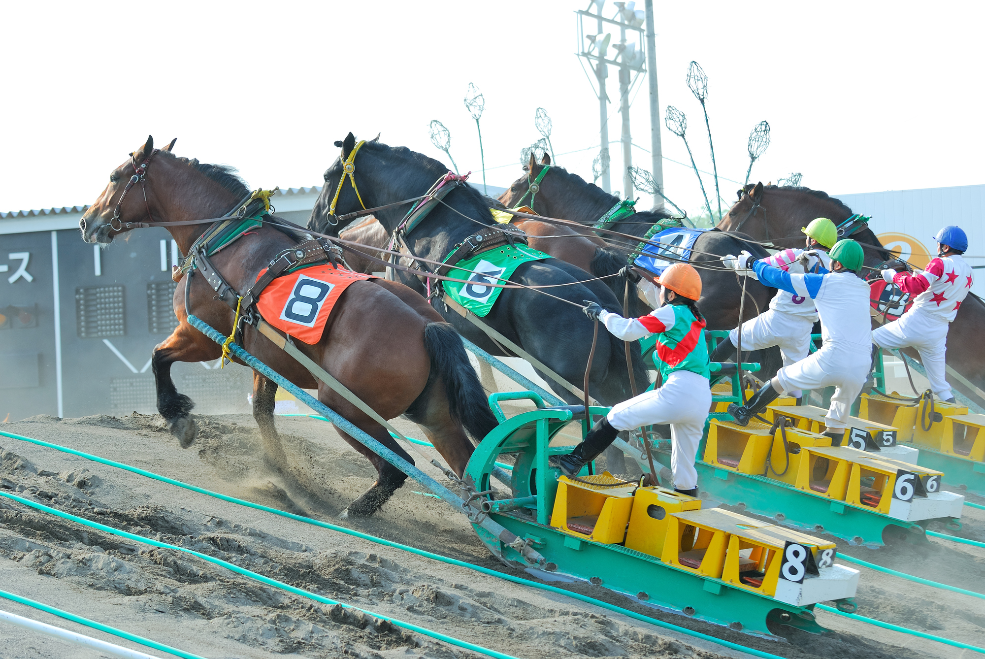 ばんえい競馬