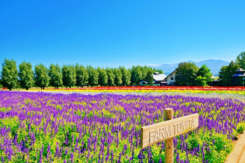 ファーム富田