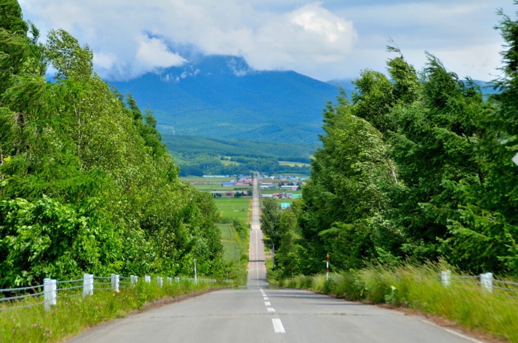上富良野・直線道路