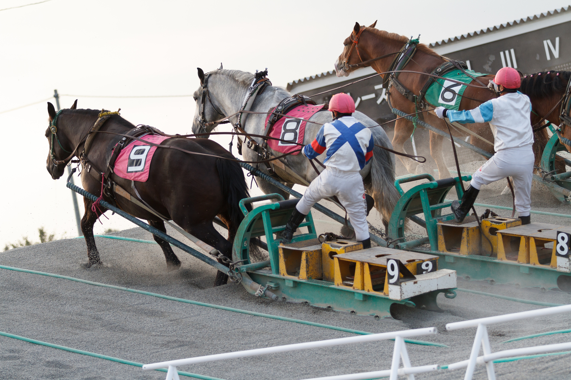 十勝ばんえい競馬