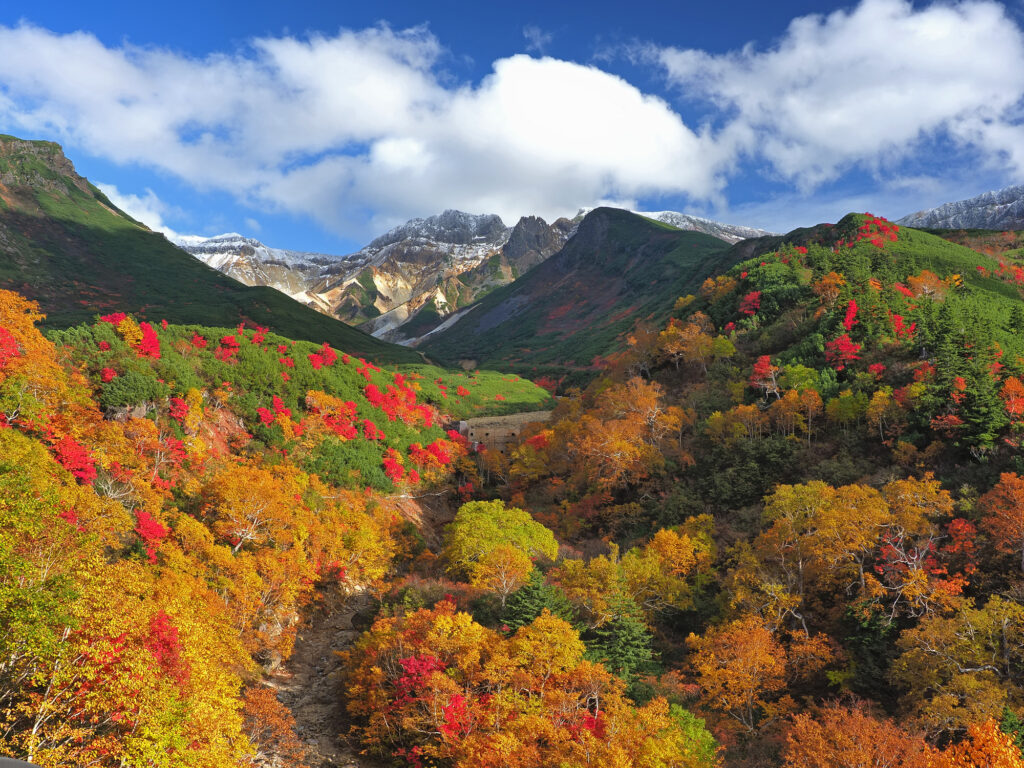 十勝岳秋