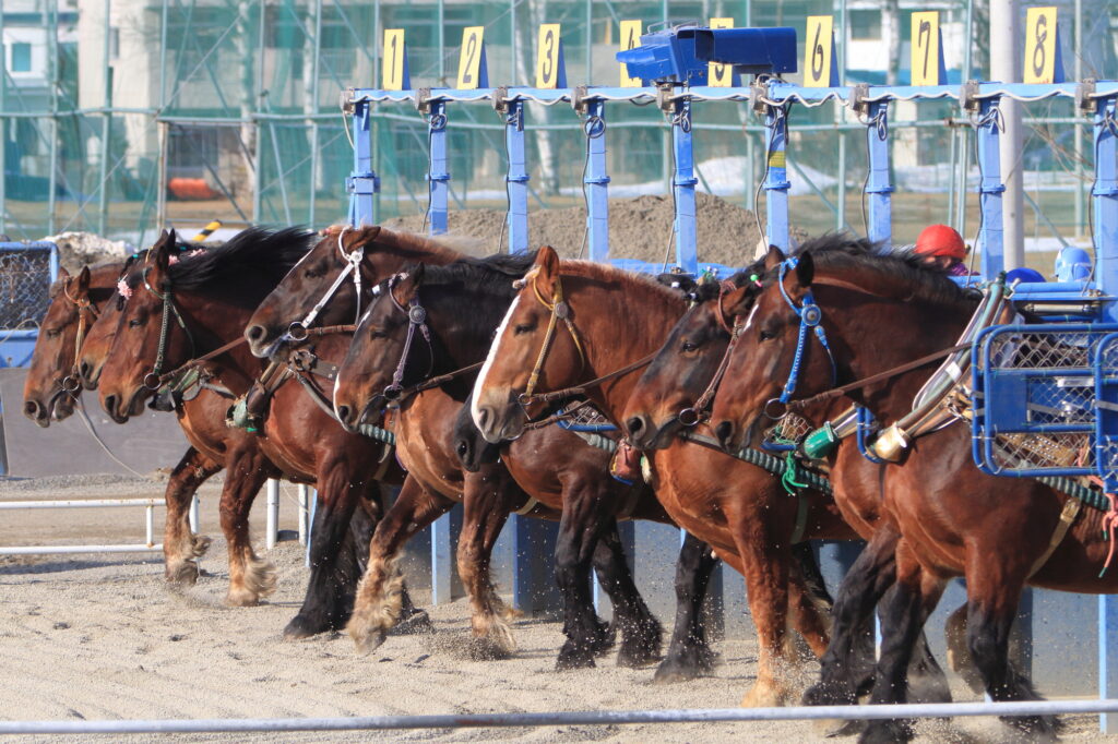 帯広競馬場