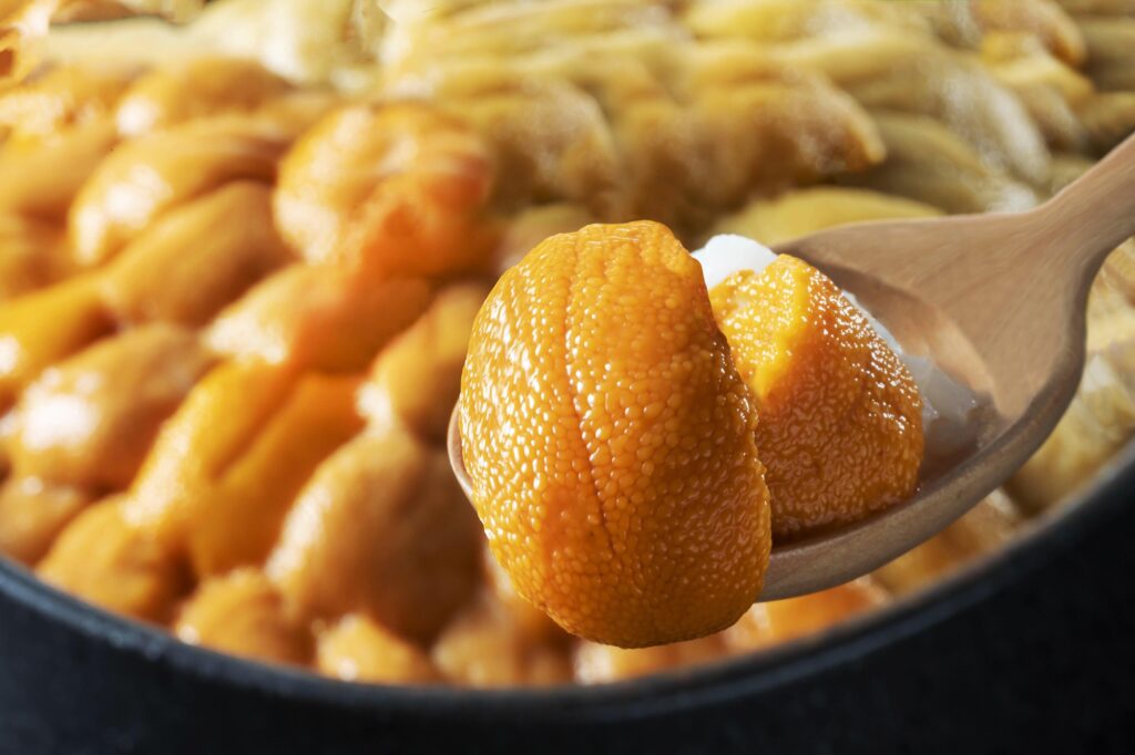 新鮮で美味しいウニ料理