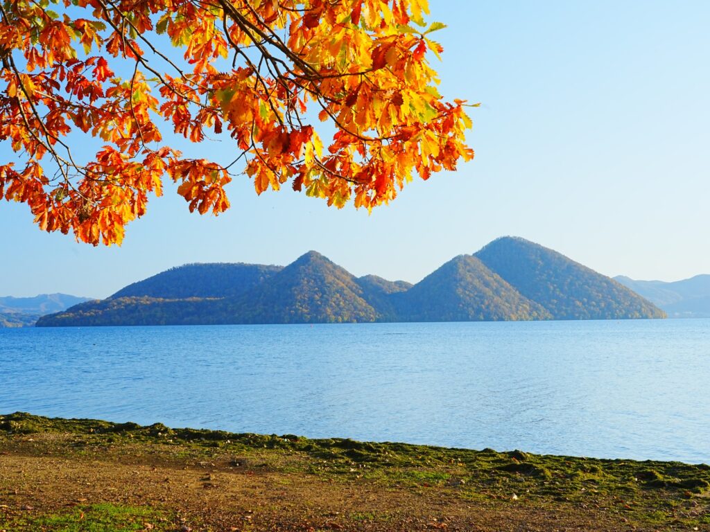 洞爺湖紅葉