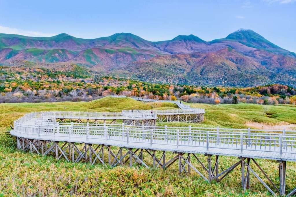 知床五湖高架木道と紅葉の秋景色