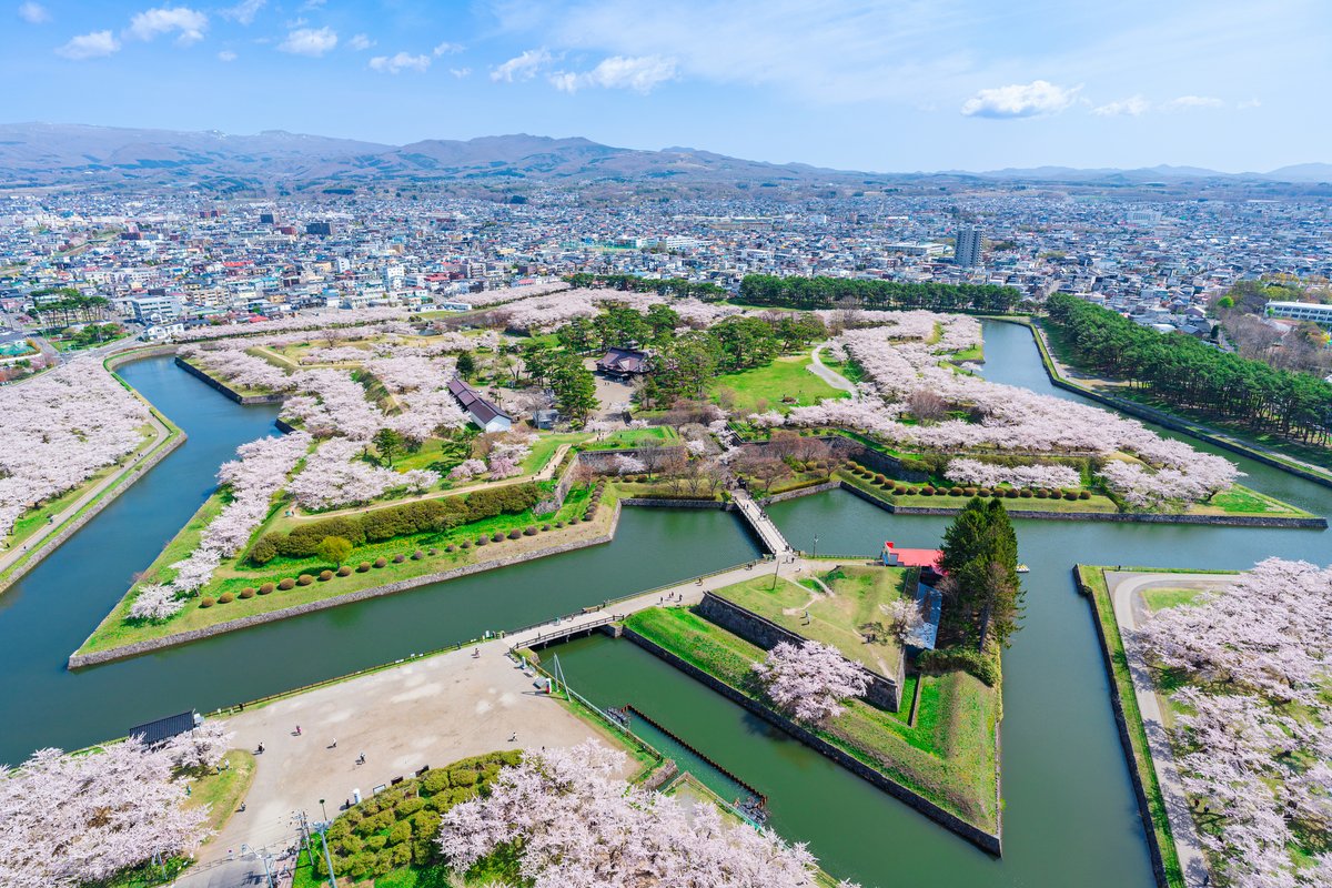 北海道の桜開花前線マップ — 道南から道東への見頃カレンダー
