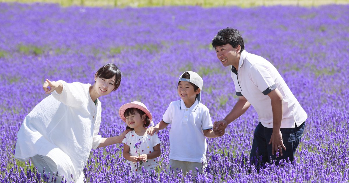北海道の花畑で遊ぶ家族
