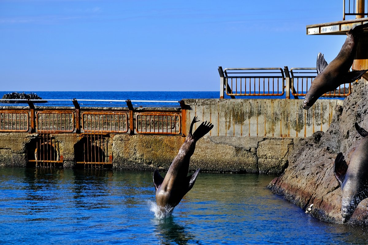 おたる水族館