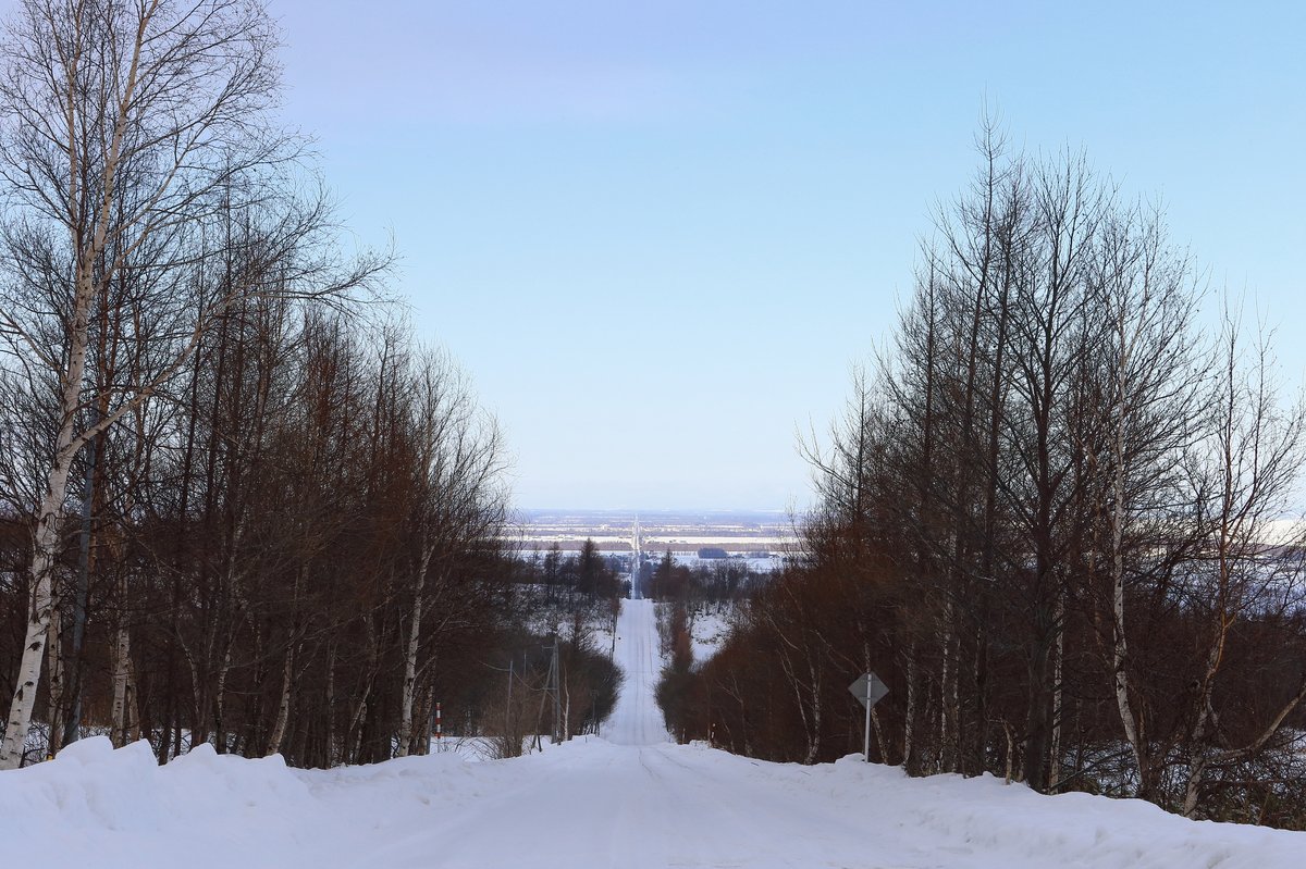 冬の道東の道路風景
