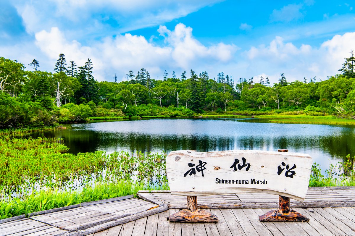 ニセコの夏ラフティング