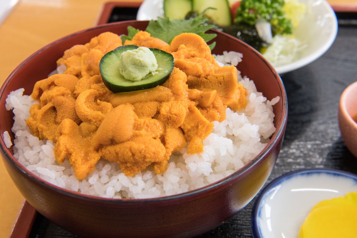 利尻島ウニ丼