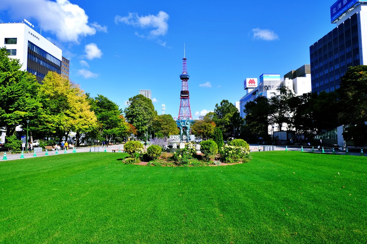 大通公園の芝生とテレビ塔