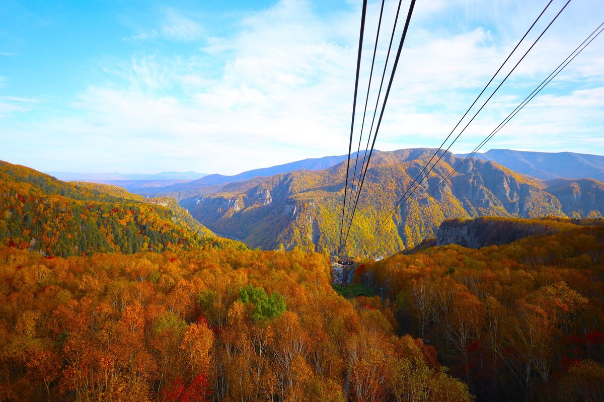 黒岳ロープウェイ紅葉