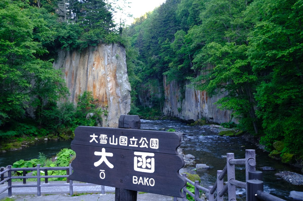 大函の柱状節理