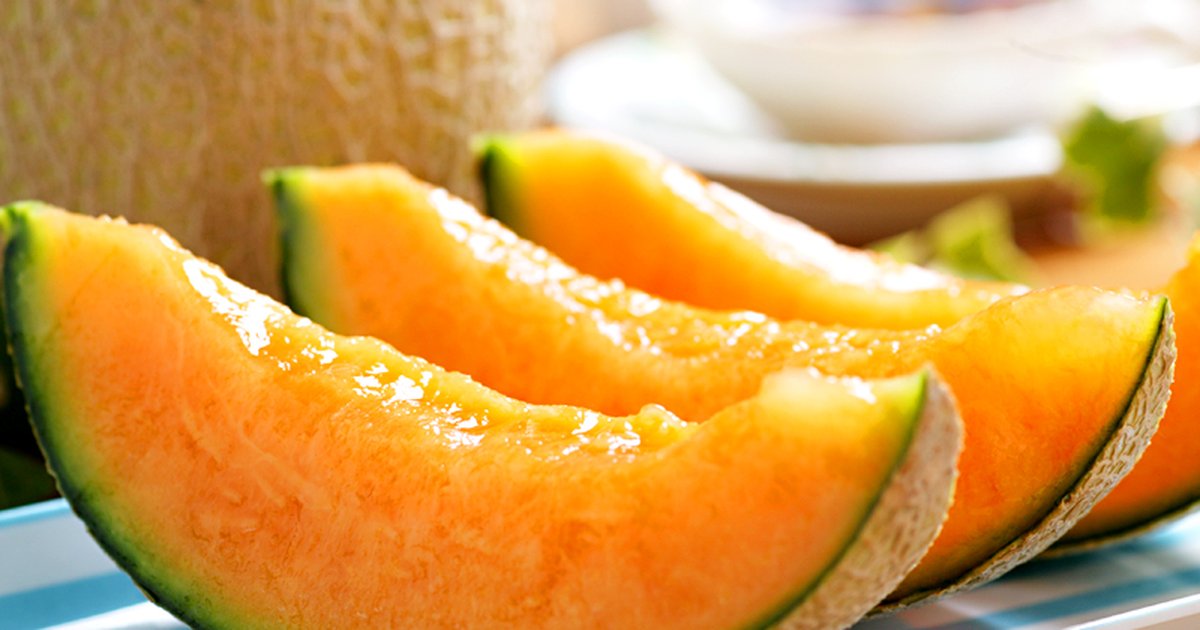 yubari melon all you can eat 01 image 01