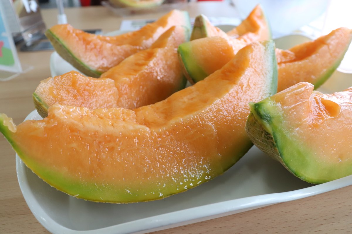 yubari melon all you can eat 06 image 06