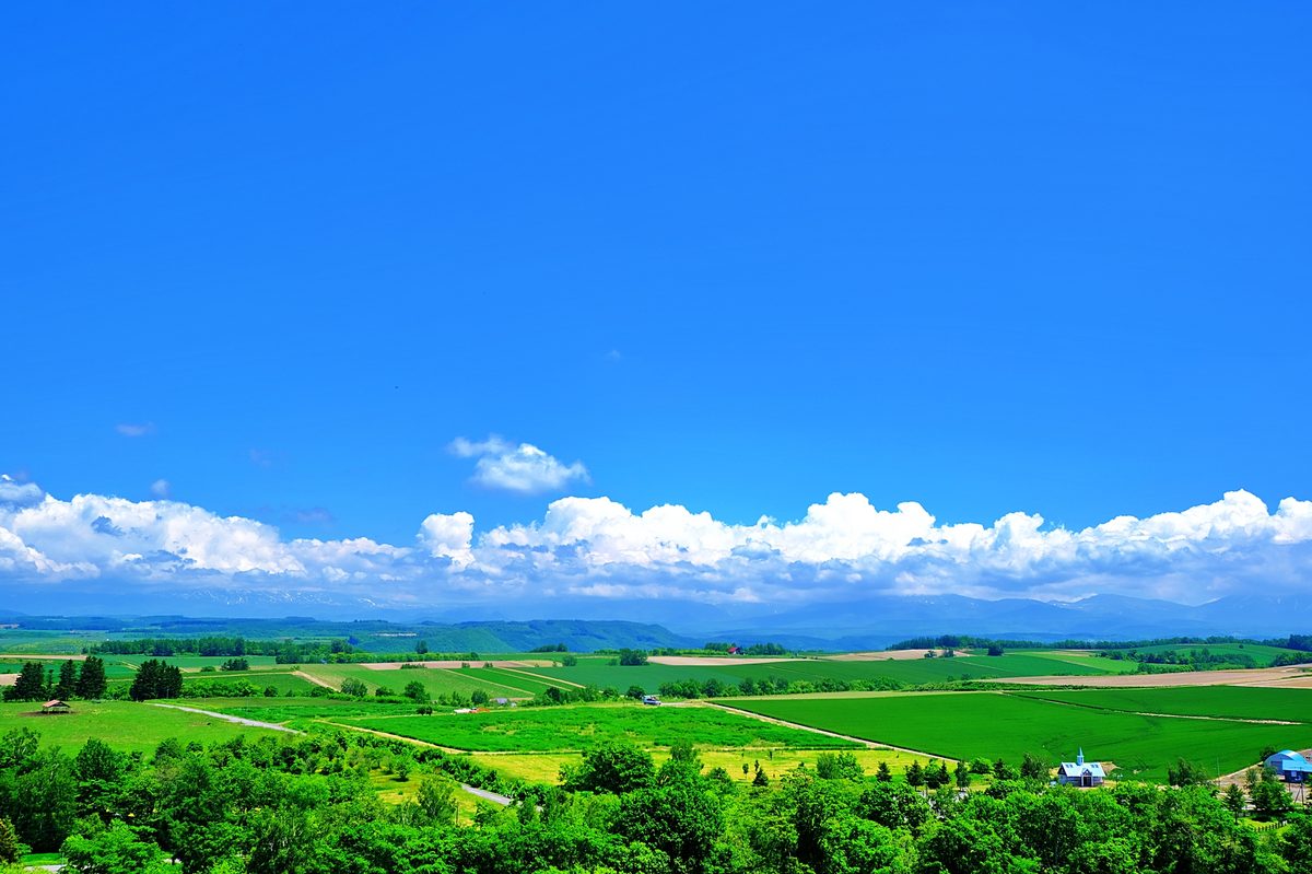 富良野・美瑛のなだらかな丘とドライブ風景