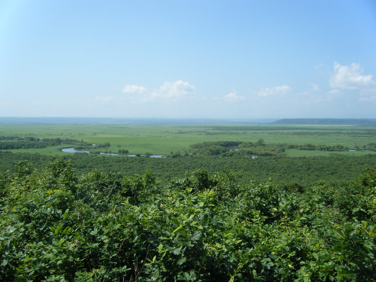釧路湿原の風景