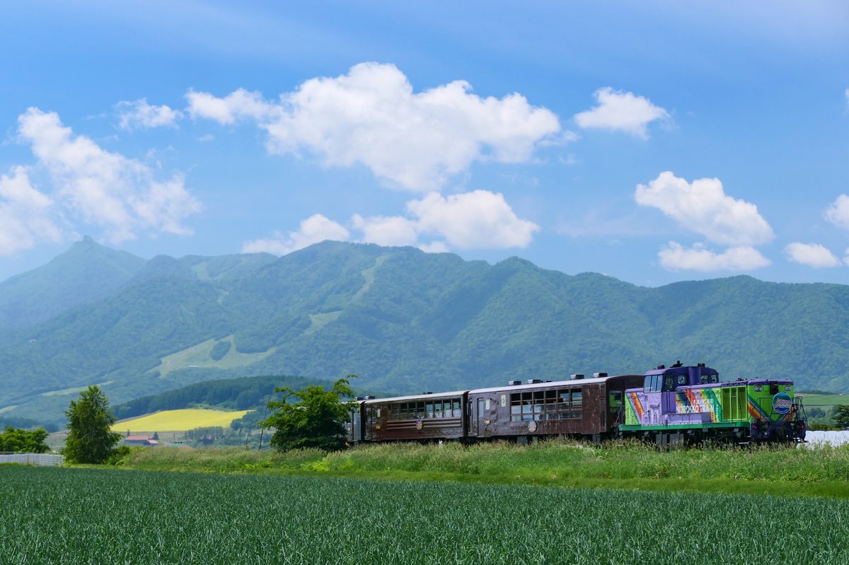 富良野線の田園風景を走る列車