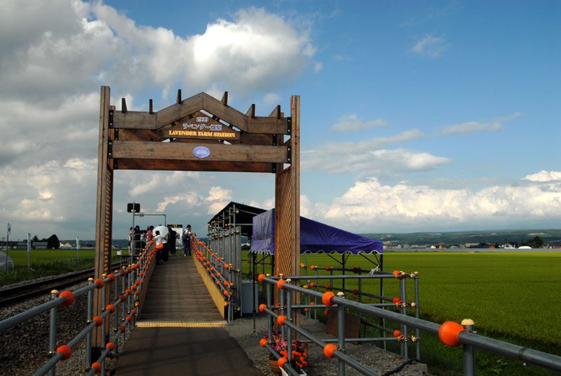 ラベンダー畑駅(臨時駅)のホーム・駅名標