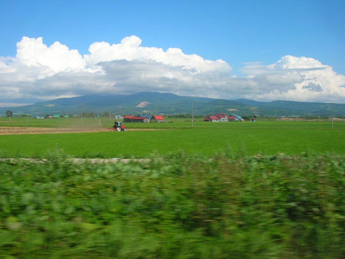 車窓から北海道の景色を眺める旅の締めくくりの一枚