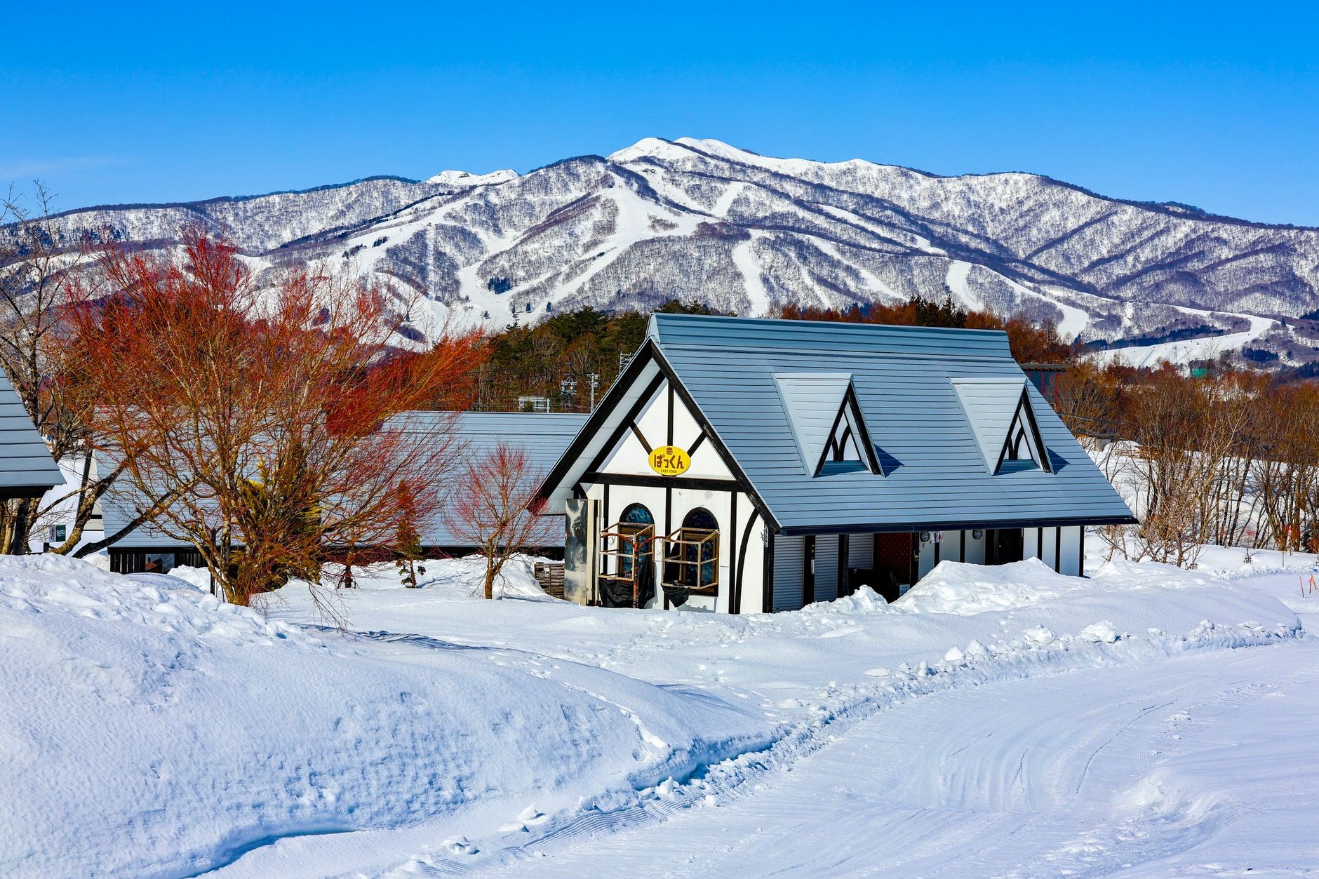 雪に覆われた北海道の一軒家と雪原