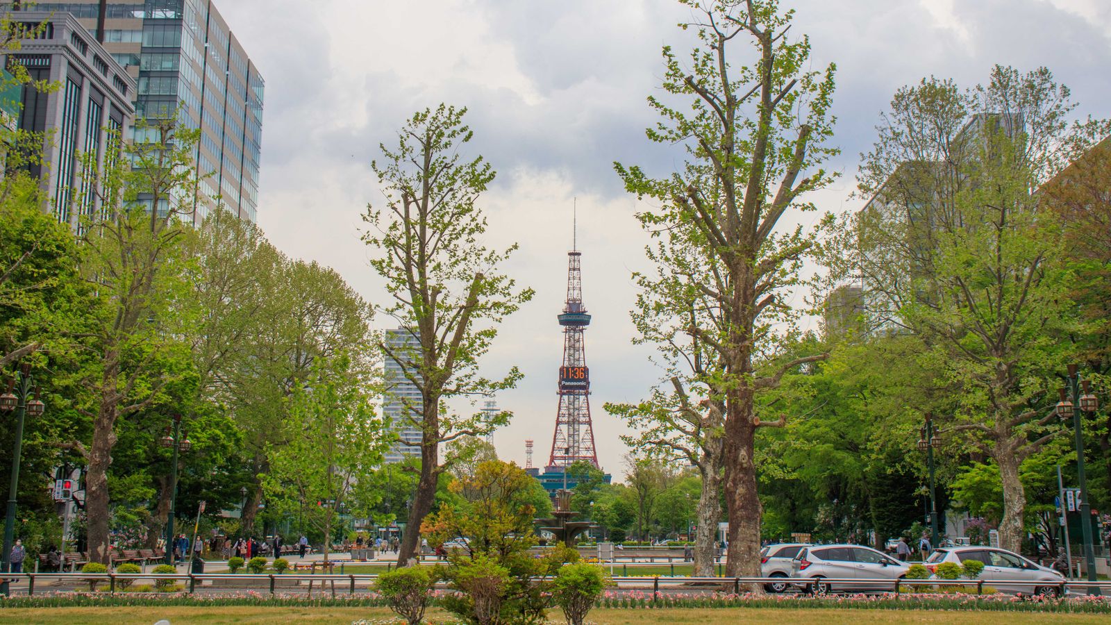 新緑の木立越しに望む札幌・大通公園のさっぽろテレビ塔
