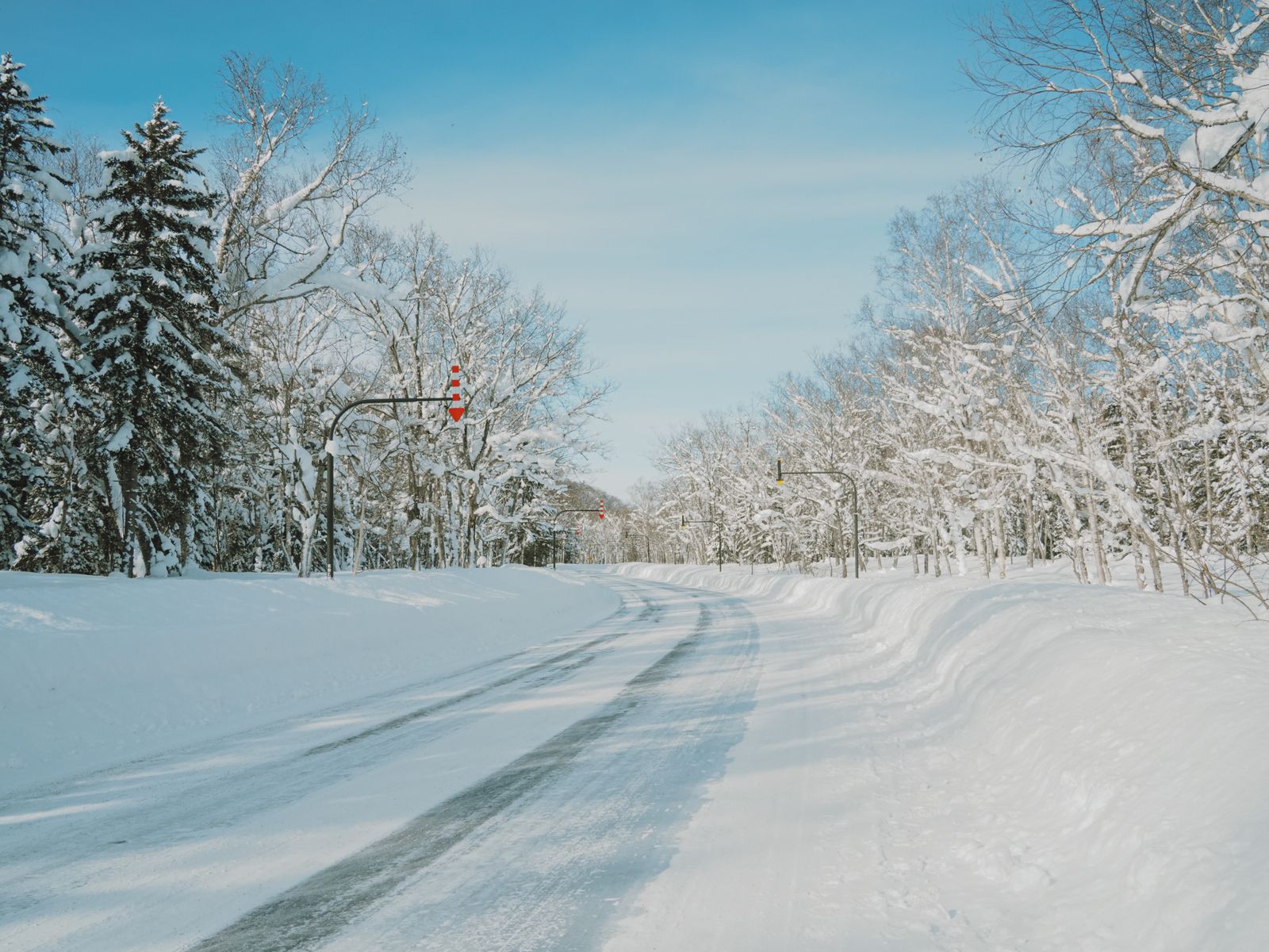 除雪された雪深い北海道の道路と枝に雪をのせた木立