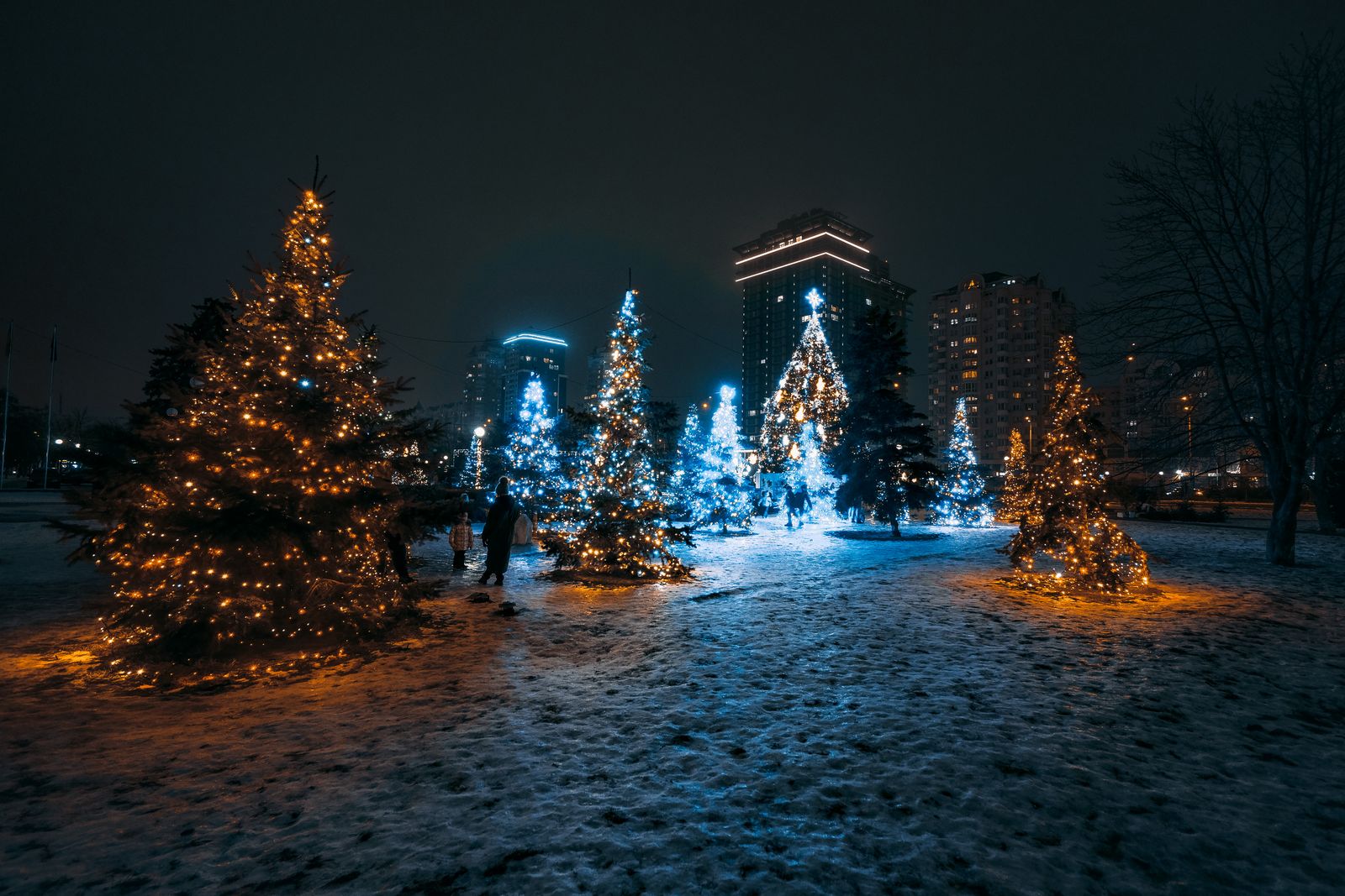雪の積もった公園を彩る冬の夜のイルミネーション(イメージ)