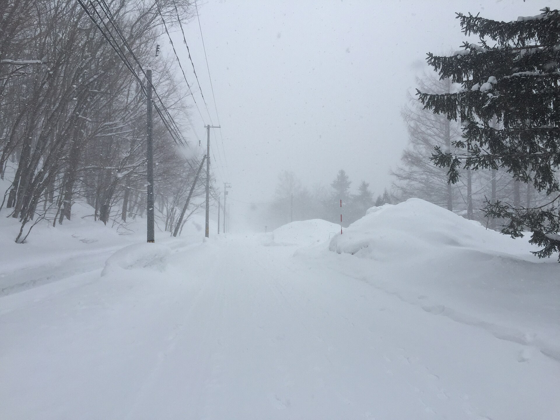 降りしきる雪で視界が悪くなった札幌市内の道路