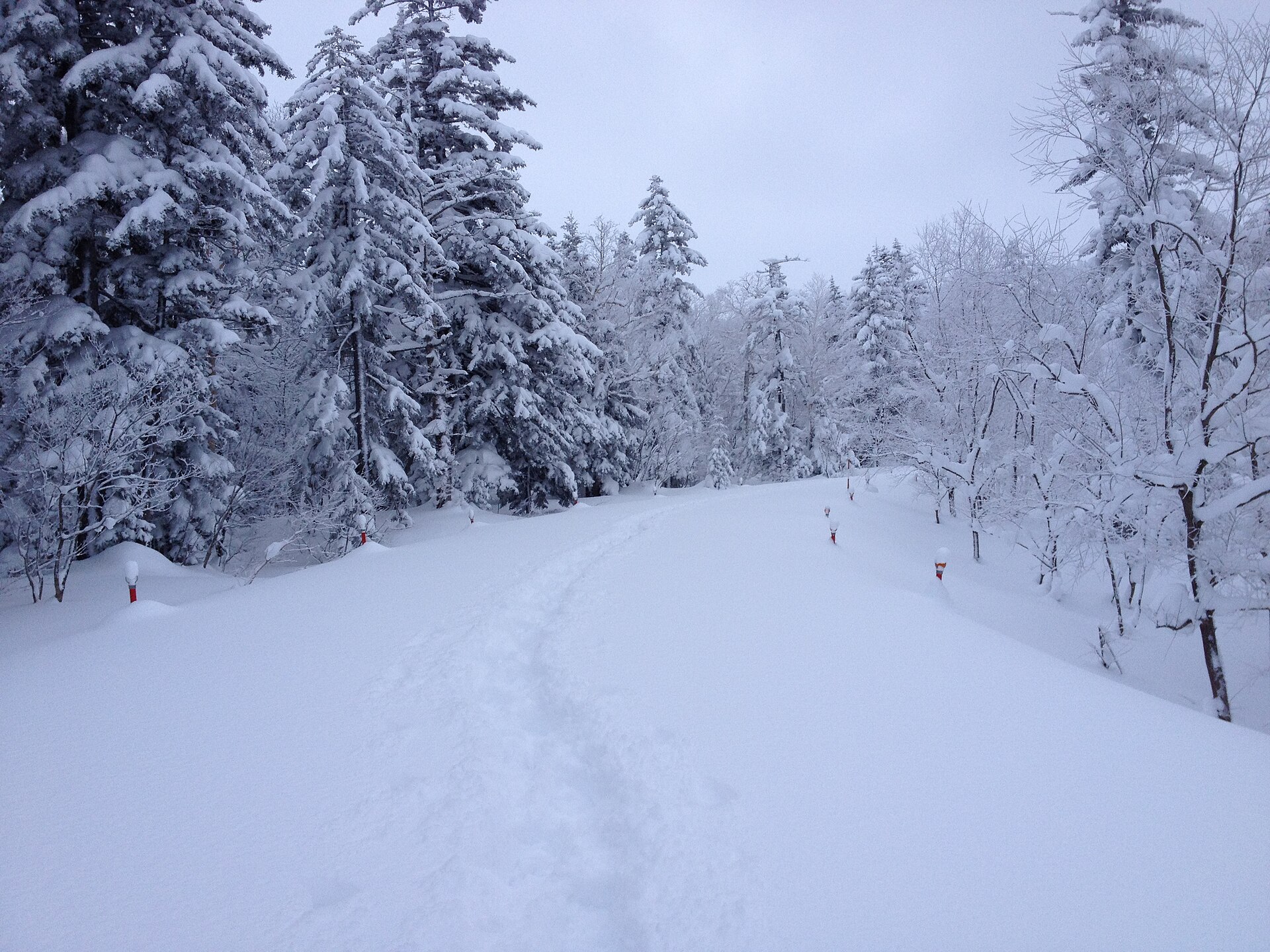 深い雪に覆われた冬の山間部の道路(北海道・道道966号十勝岳スカイライン)