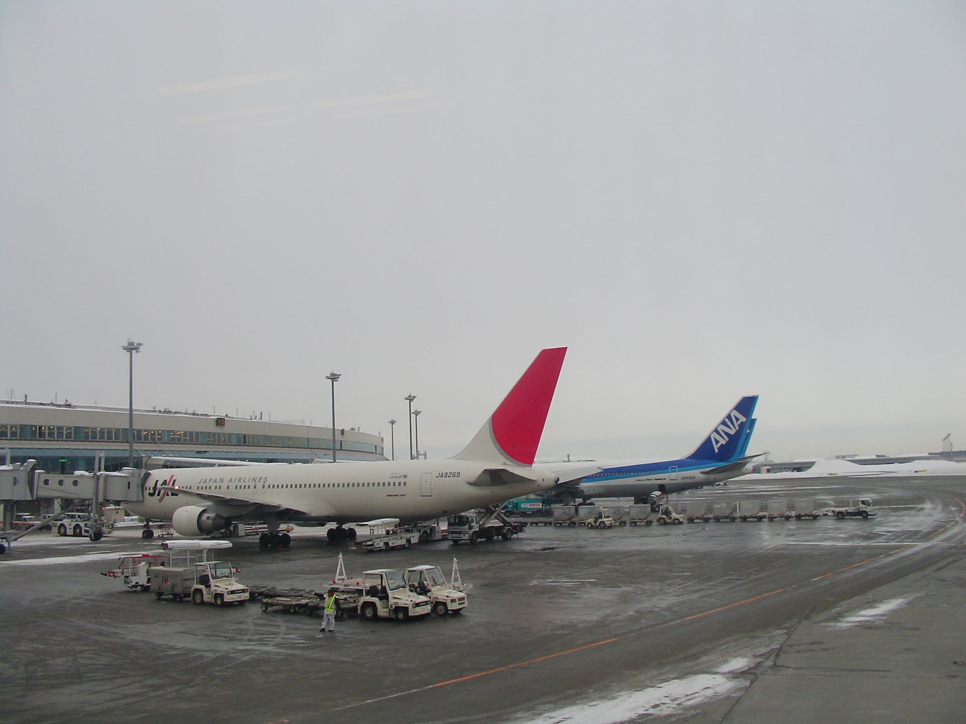 雪の新千歳空港に駐機するJAL機とANA機