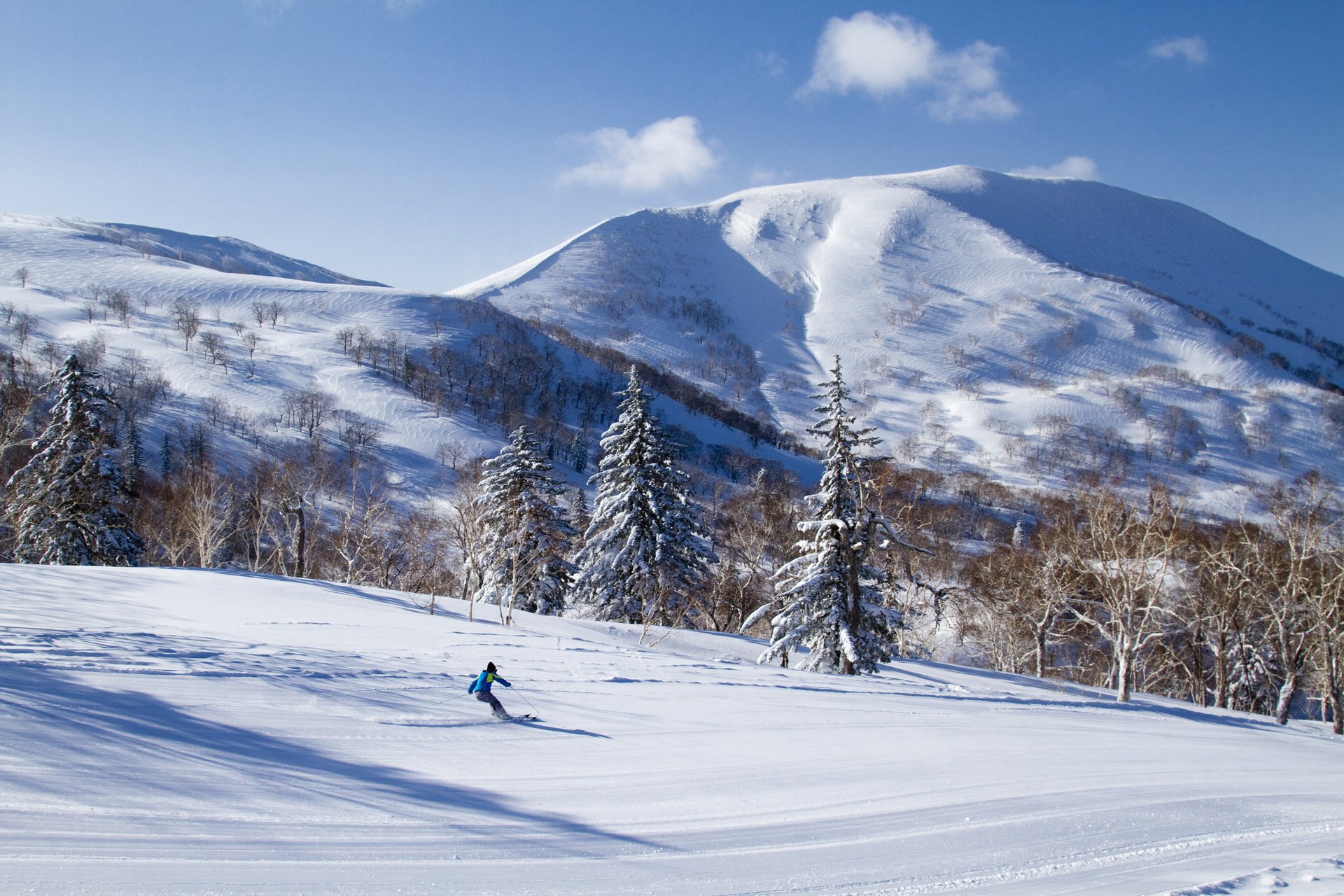 晴天のキロロリゾートのゲレンデと雪をかぶった針葉樹、奥の山並み