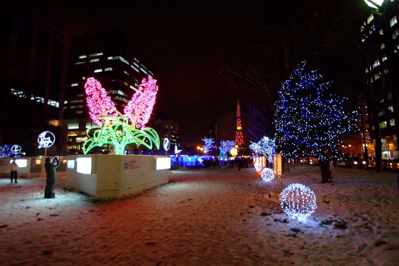 うっすら雪が積もった大通公園の広場に置かれた花のオブジェと光の球