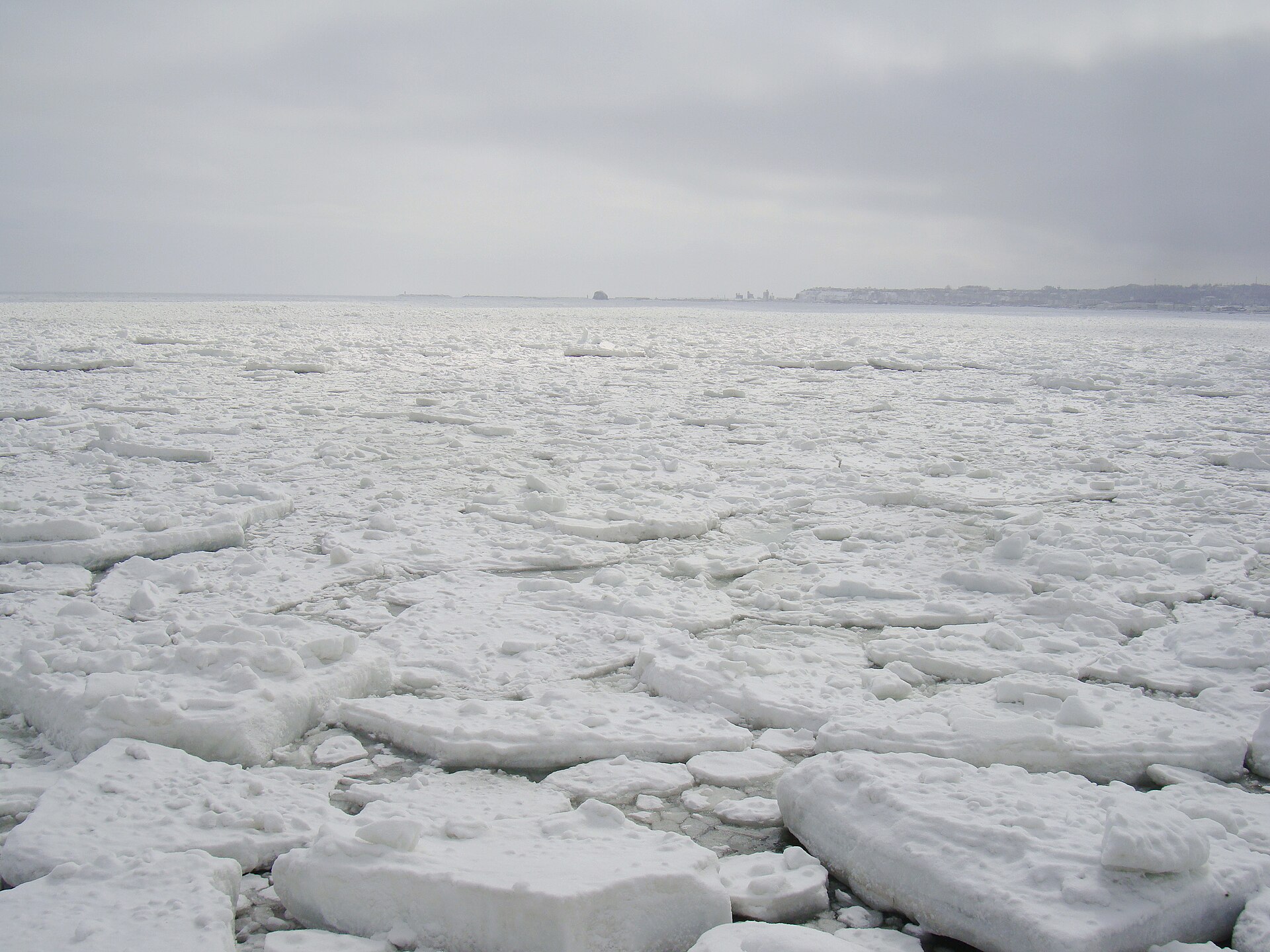 岸から沖まで板状の流氷がびっしりと敷き詰められた曇り空の海。遠くに網走の街並みがかすむ