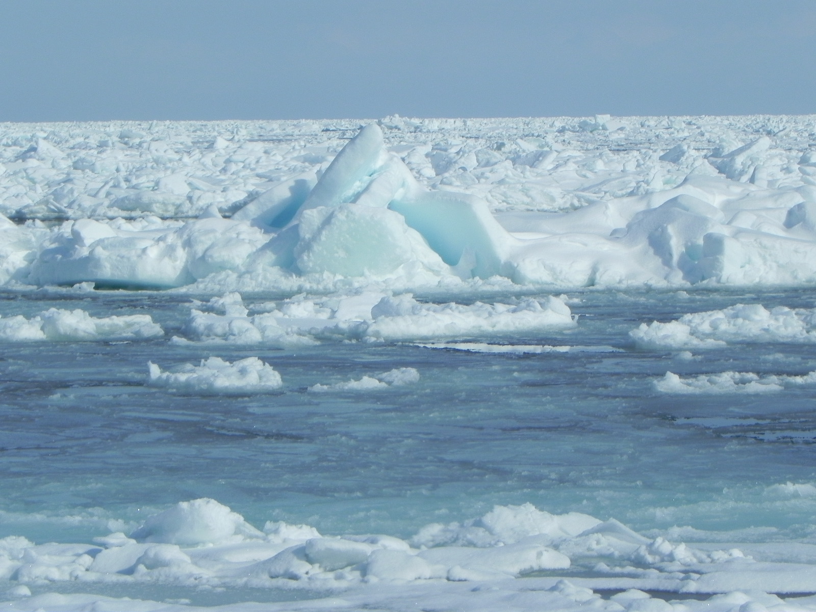 青い海面に大小の流氷が浮かび、奥には積み重なった氷原が広がっている