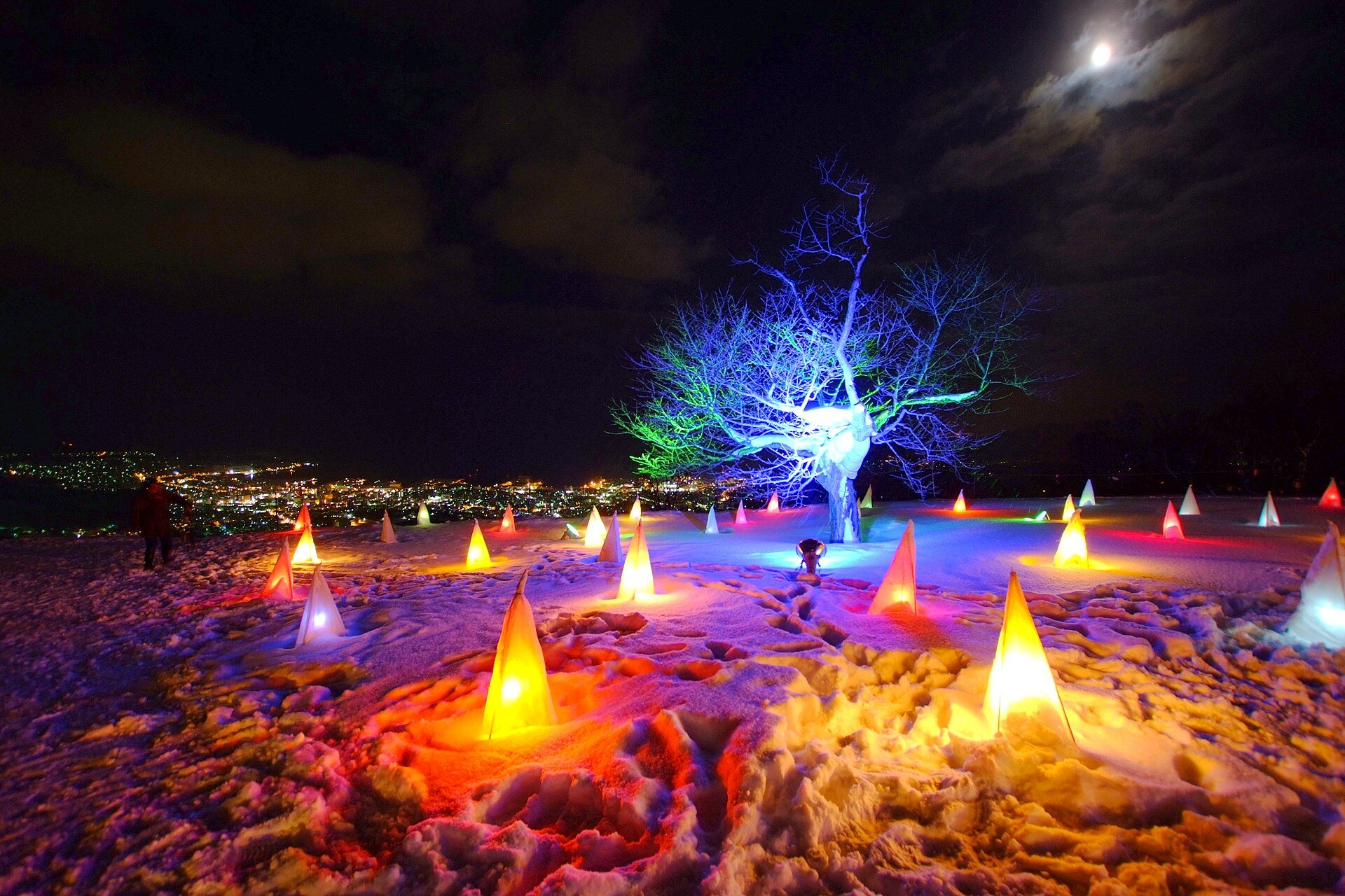 小樽・天狗山の雪原に並ぶ色とりどりのスノーキャンドルとライトアップされた木、奥に小樽の夜景