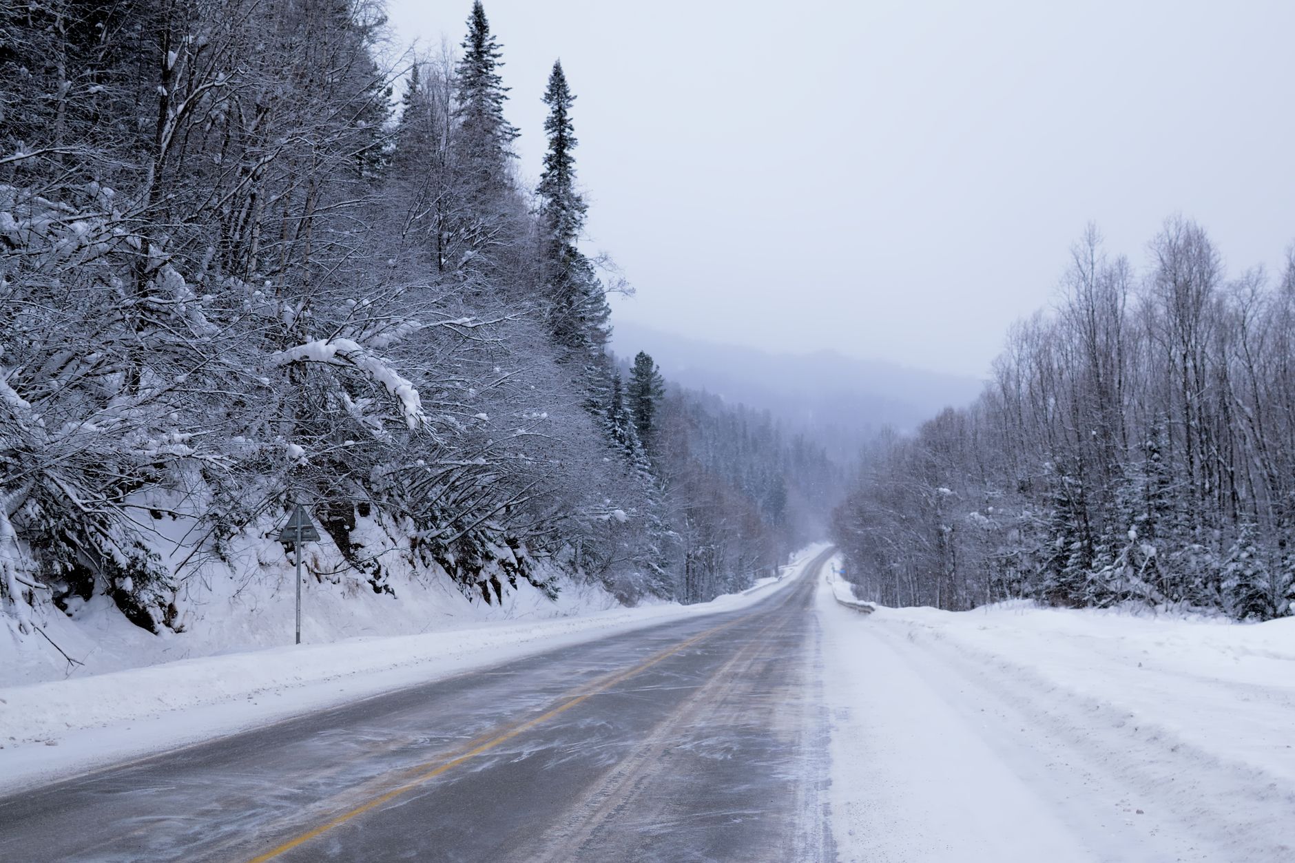 雪に覆われた森の中を抜ける一本道（イメージ）