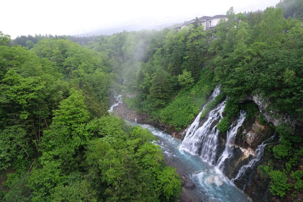崖の岩肌から幾筋も流れ落ちて青い美瑛川に注ぐ白ひげの滝