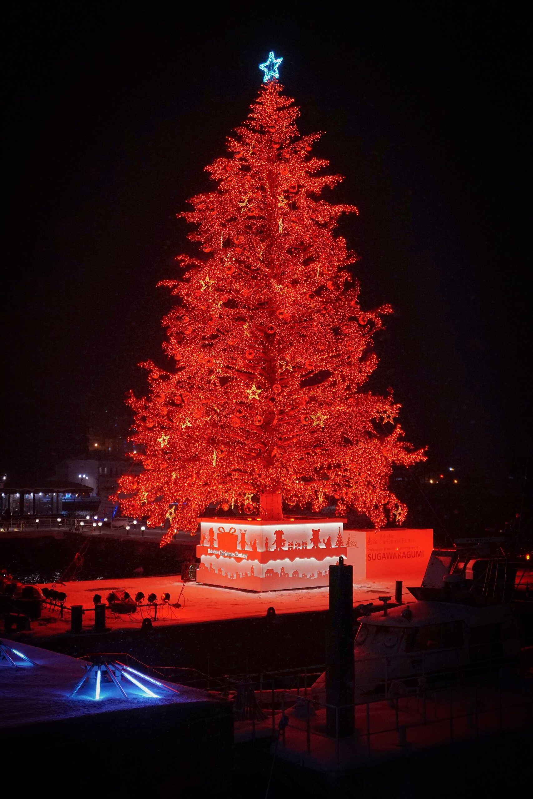 夜の海上の台座の上で赤い光に包まれて点灯する巨大なクリスマスツリー
