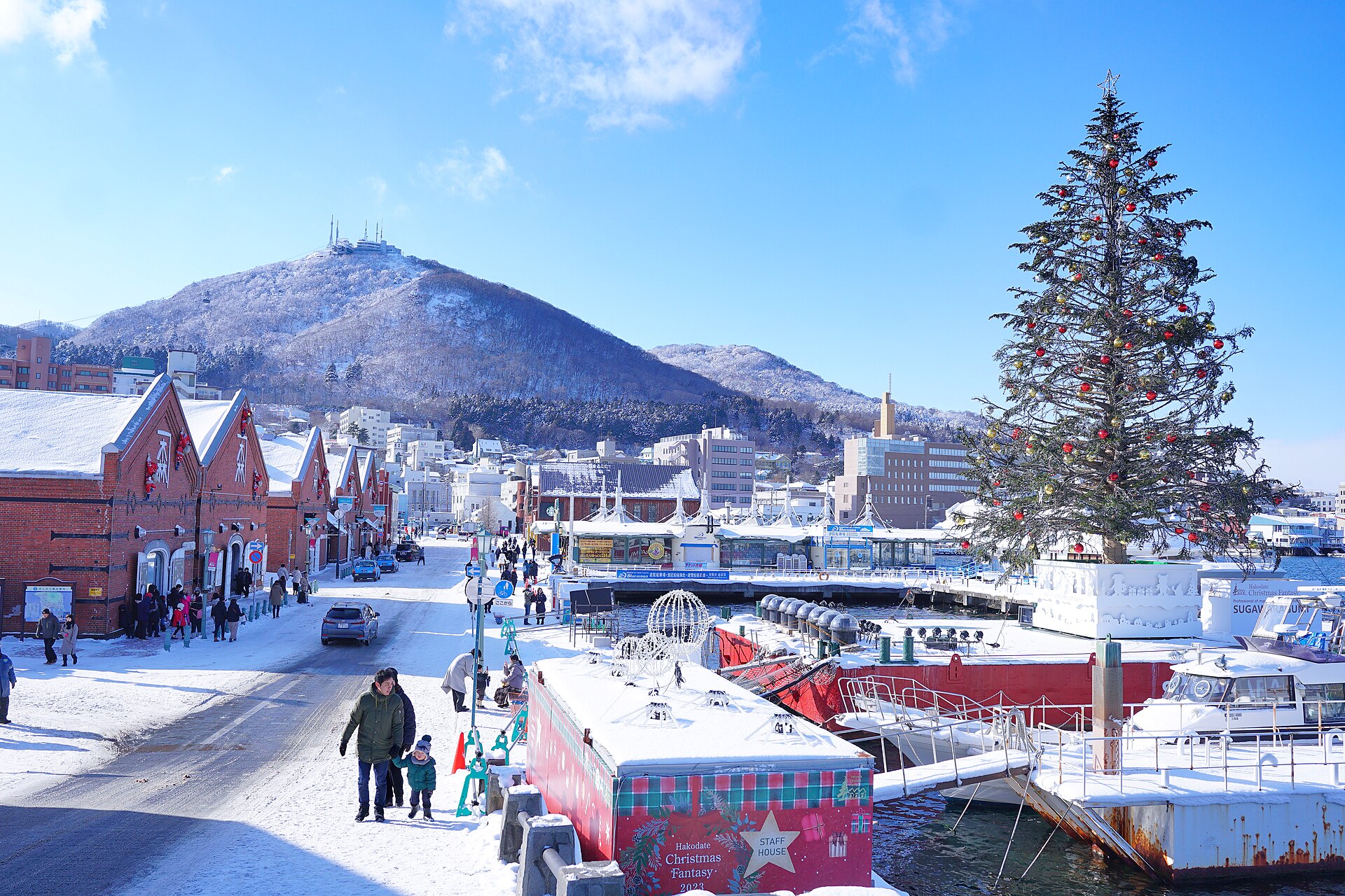 雪の積もった金森赤レンガ倉庫前の通りと海上のクリスマスツリー、背後の雪化粧した函館山