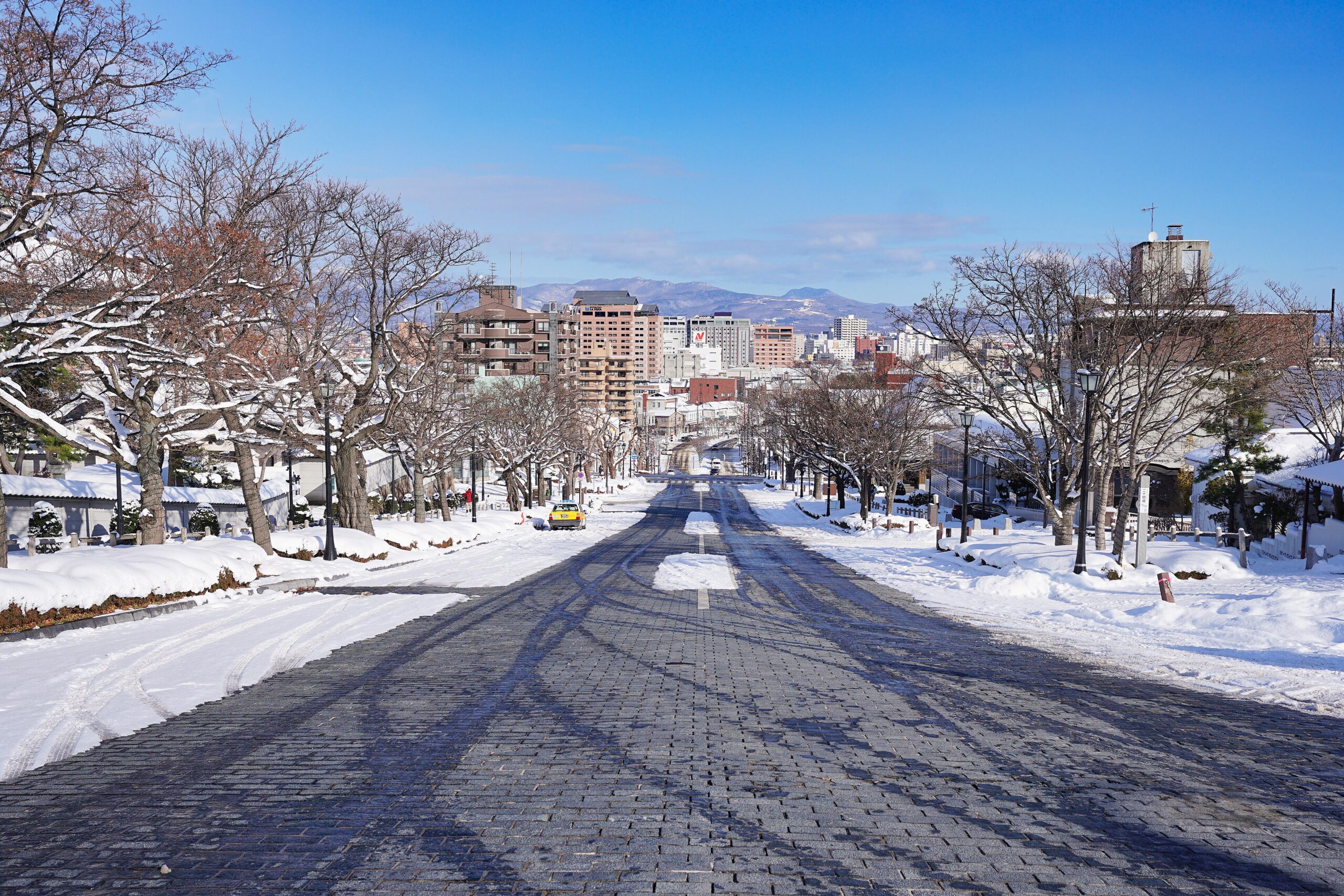 両側の歩道と並木に雪が積もった函館・二十間坂と青空