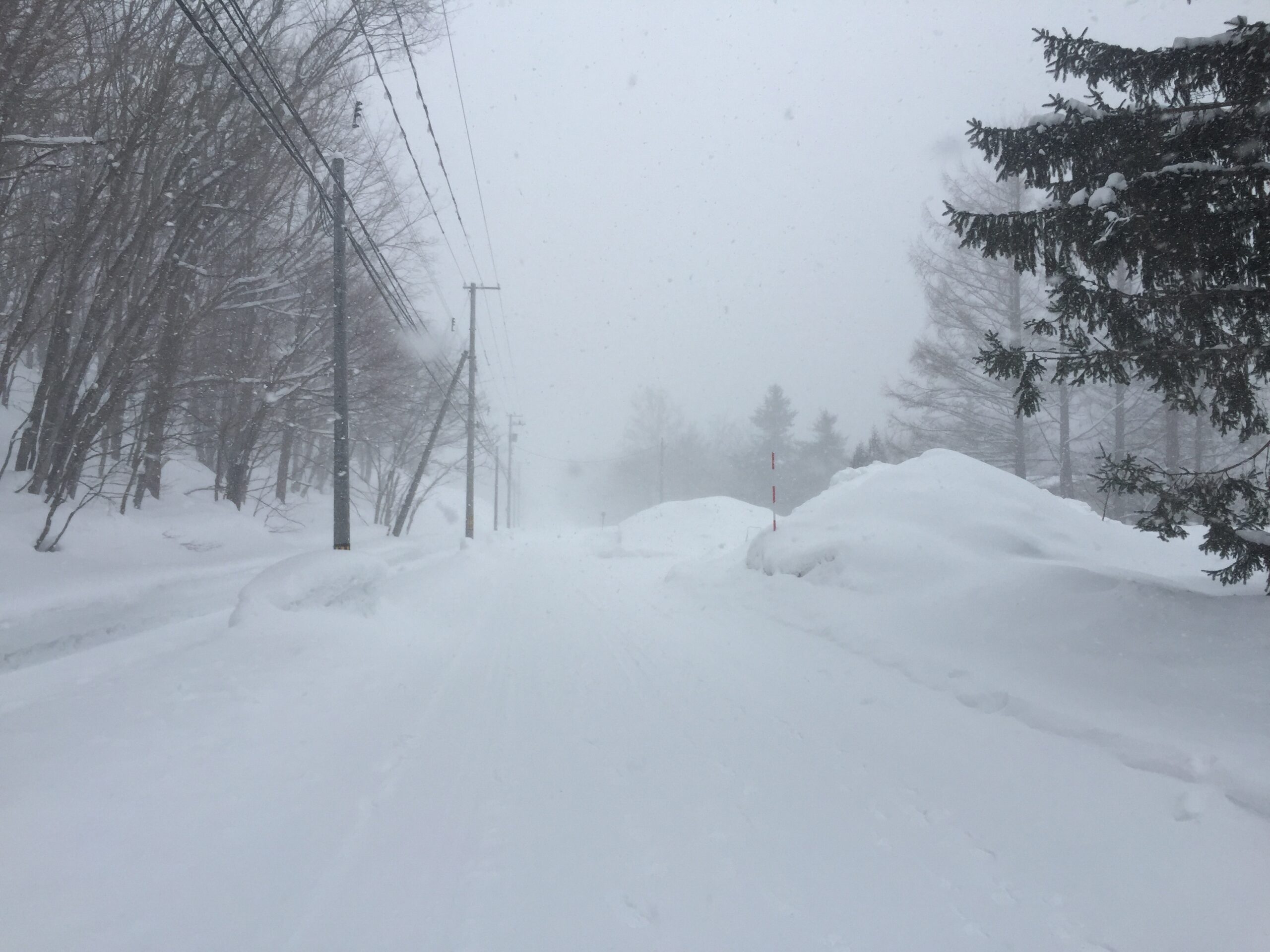 吹雪で視界が白くかすみ、路面も路肩も雪に覆われた道路