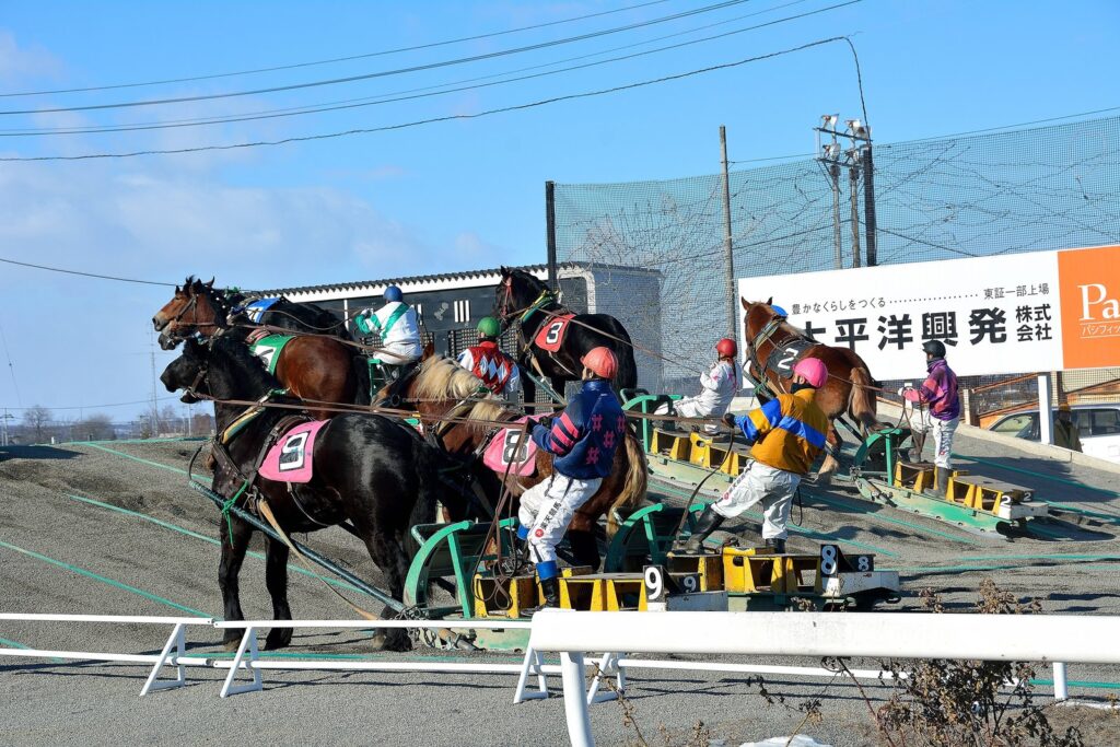 観客席から見た、ソリを引いて第2障害の坂を上るばん馬