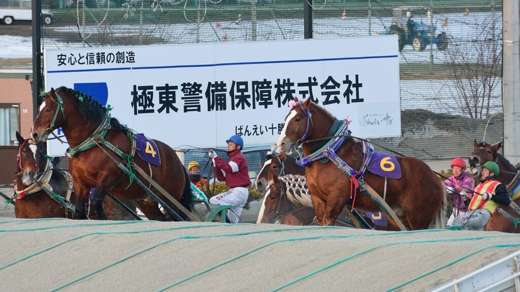騎手を乗せたソリを引き、障害の坂を上る2頭のばん馬