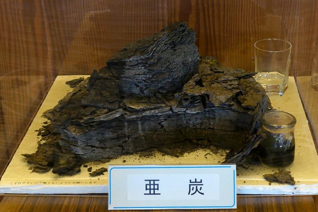 十勝川温泉で展示されている黒い亜炭の塊