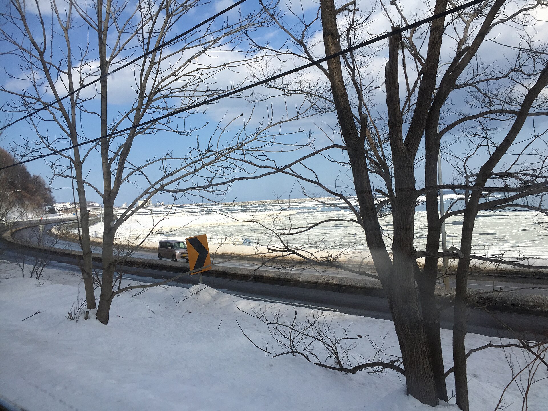 雪の積もった海沿いの道路と、その向こうの海に浮かぶ流氷。手前に葉の落ちた木が立っている