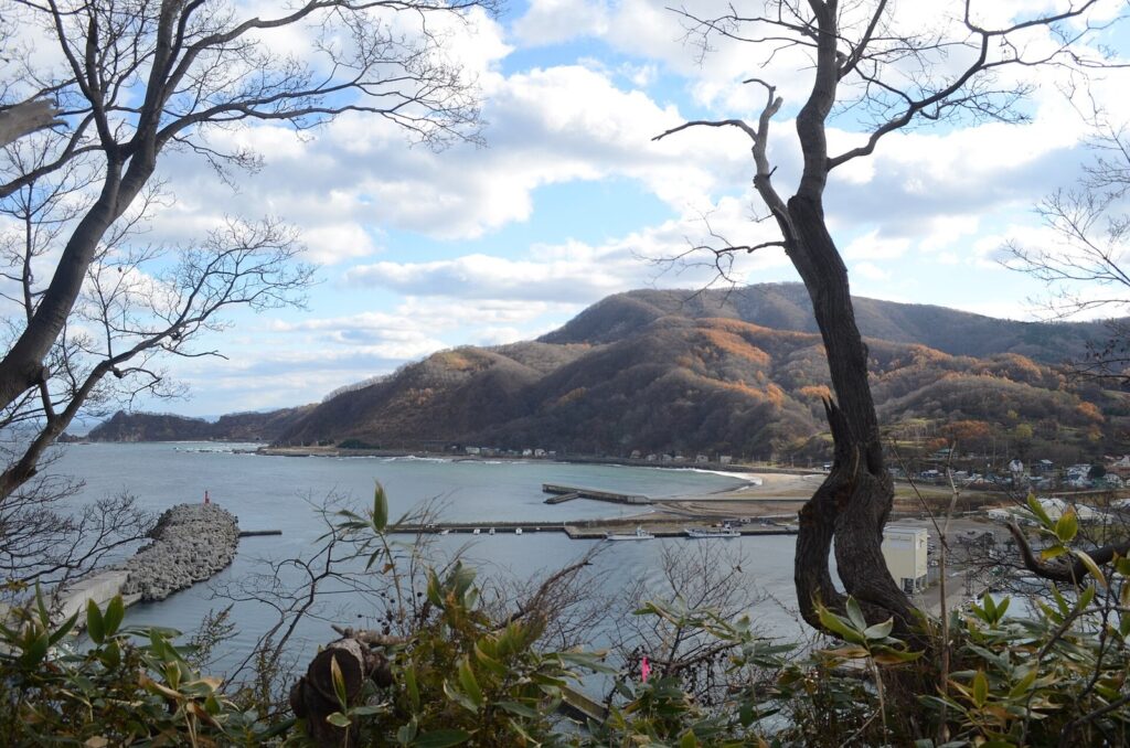 高台から見下ろした美国漁港と、紅葉した山に囲まれた美国の湾